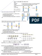 14 - DB CT NST PDF