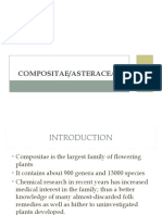 Medicinal Plants of the Compositae/Asteraceae Family