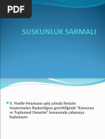 Suskunluk Sarmalı Kamuoyu Neumann | PDF