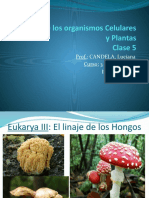 Biologia de Los Organismos Celulares y Plantas Clase 5
