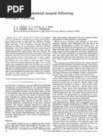 Download Adaptations in Skeletal Muscle Following strength training by papatha2 SN6338137 doc pdf