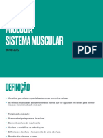 Sistema muscular: definição, anatomia e classificação