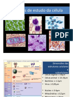 Tecnicas de Estudo Da Biologia Celular