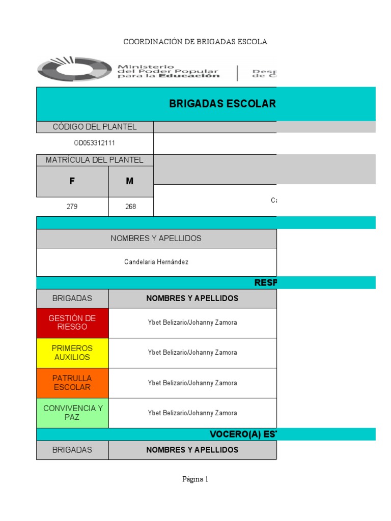 Coordinación de Brigadas Escolares | PDF | Salud y bienestar
