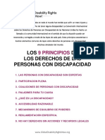 9 Principios Rectores Personas Con Discapacidadall Disability Rights Principles - Spanish