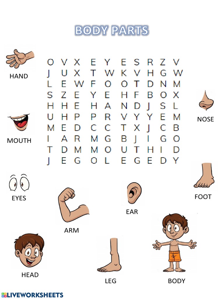 Body Parts PDF PDF