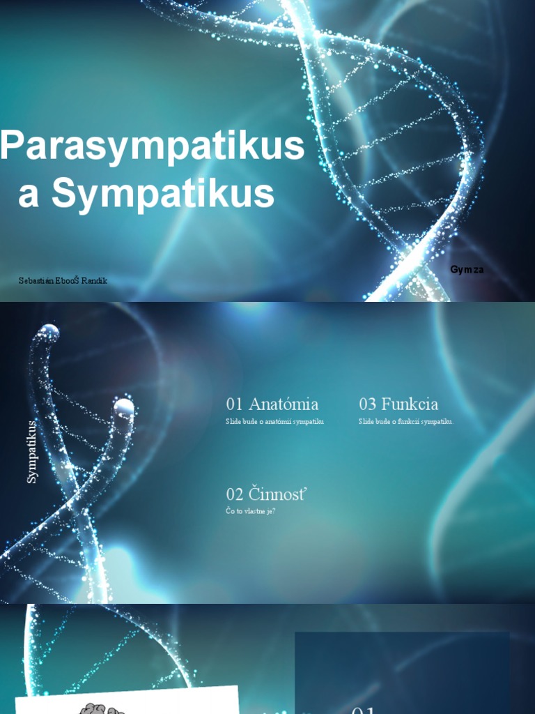 sympatikus-parasympatikus-sr-pdf