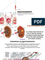Пиелонефрит