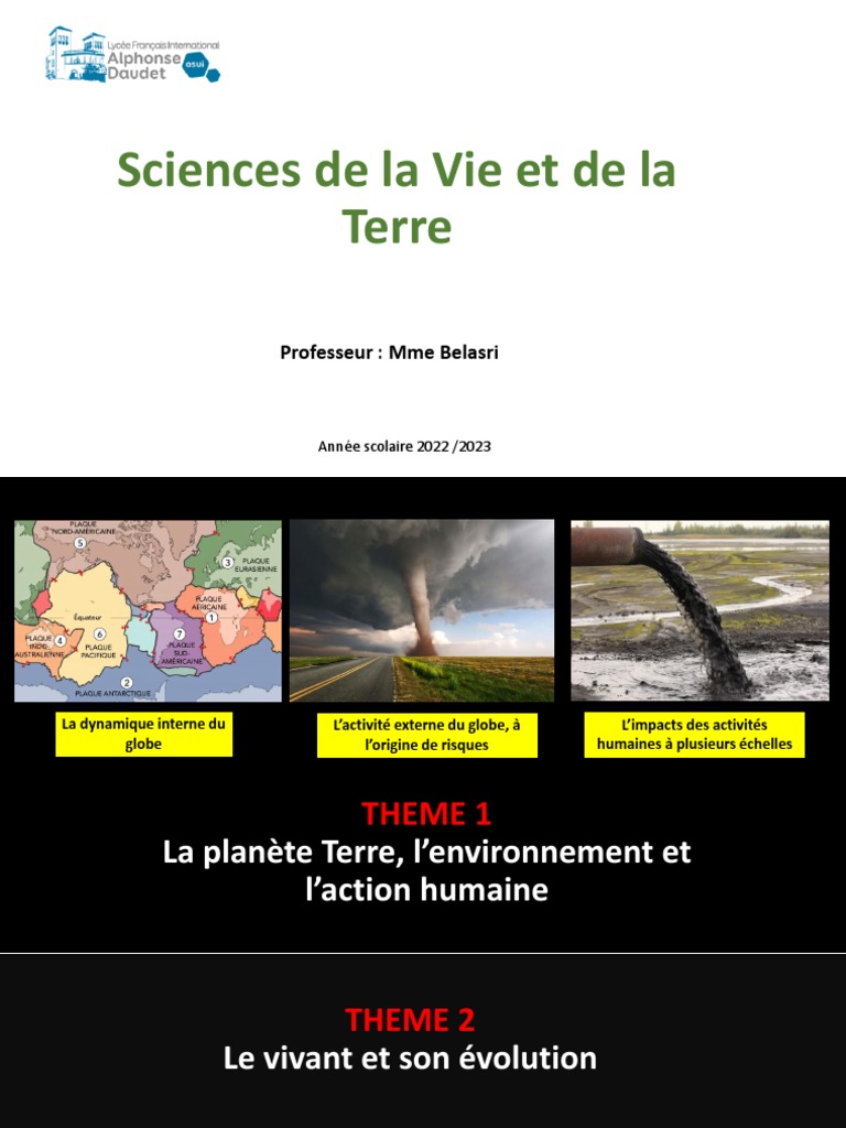 Rachianesthésie - NYSORA, image size:768x1024