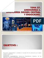 Amenorrea central y endocrina: causas, clasificación y mecanismos