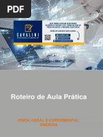 Roteiro de Aula Prática - Física Geral e Experimental - Energia