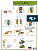 Fold Your Own DNA