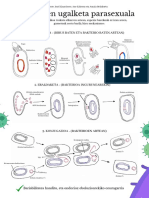 Bakterioen Ugalketa Parasexuala - Noa Vicente, Irati Linacisoro, Ane Ezkerra Eta Amaia Bela - Kortu