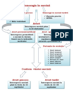 Structura Grafologică Avort