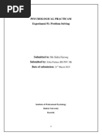 Practicum Problem Solving Report Final PDF