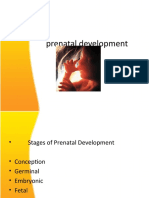 Prenatal Development 01062022 123044pm 20102022 094936am 16032023 110043pm