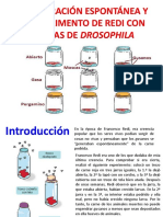 DROSOPHILA Y REDI FFF - Compressed PDF