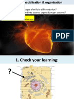 Ch3.5 Cellular Specialisation and Organisation