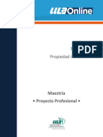 Materia 3 - Proyecto Profesional PDF