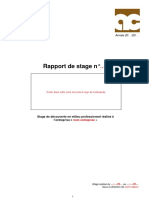 exemple-rapport-de-stage-MEI.pdf