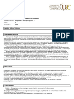 Programa 2022 Diagnostico Psicopedagógico 2 PDF