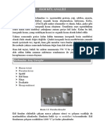 Ham Kül Analiz Metodu PDF