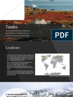 ProiectBiologie 5C - Tundra - Livia&Daria