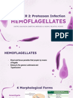 GR4 Hemoflagellates