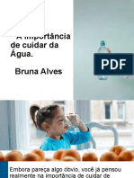 A Importância de Cuidar Da Água. Bruna Alves