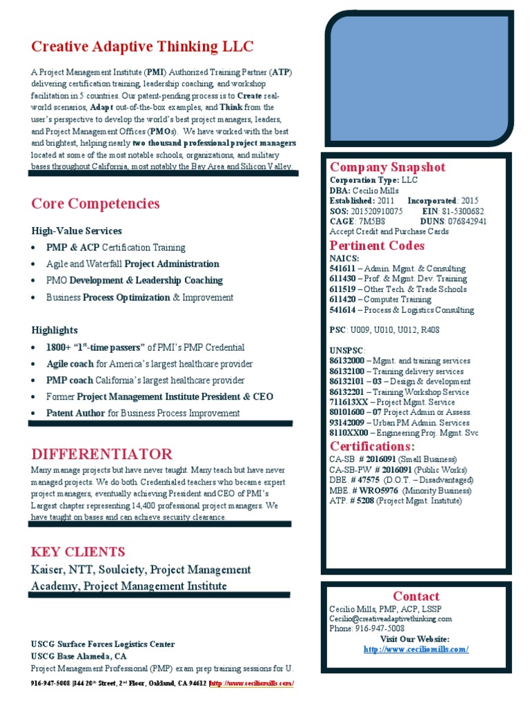 Capabilities Statement Template | PDF | Project Management Professional ...