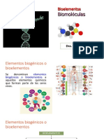 Teóricas Bioelementos Biomoléculas 2do Ciclo