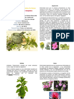 Fichero de Herbolaria PDF