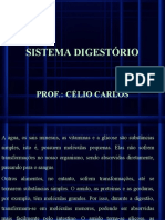 Sistema Digestório: Prof.: Célio Carlos