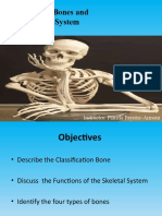 Biol 111-Bones and Skeletal Tissue Part 1