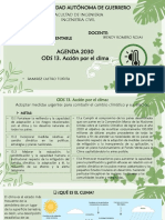 AGENDA 2030 ODS 13 Acción Por El Clima en Guerrero