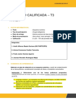 T3 - Comunicación 2 - Grupo 11 PDF