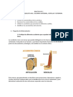 Osteologia Practica 03
