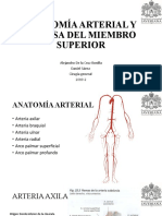 Anatomía Arterial Miembro Superior