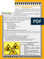 Reporte Diario SSO PDF