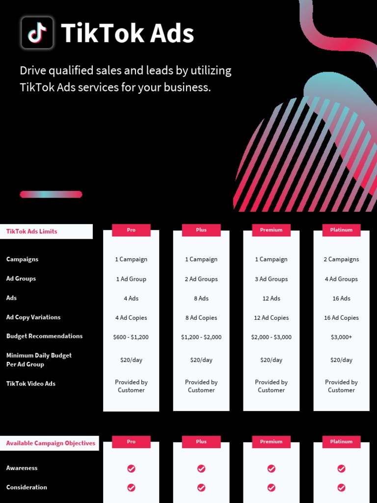 TikTok Ads Strategy and Budget Guide | PDF