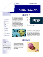 Inf. Serotonina