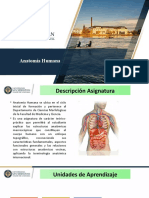 Clase 00 Anatomia Humana