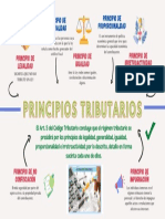 Principios Tributarios