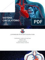 Anatomia - Sistema Circulatório