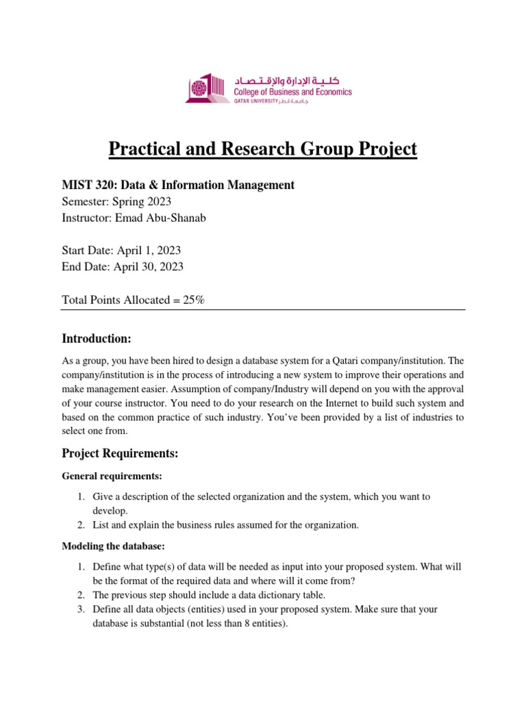 MIST 320 Database Project Overview | PDF | Computing | Data