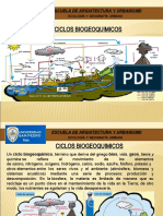 4 Ciclos Biogeoquimicos