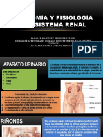 Anatomía y Fisiología Del Sistema Renal