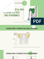 Anatomia do complexo do ombro