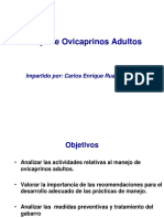 Manejo de Ovicaprinos Adultos