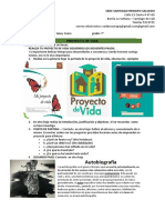 Proyecto de Vida Grado 7°